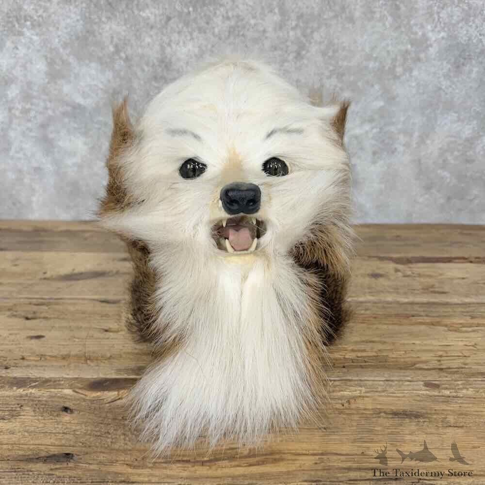Swamp Booger Novelty Mount For Sale #32135 @ The Taxidermy Store