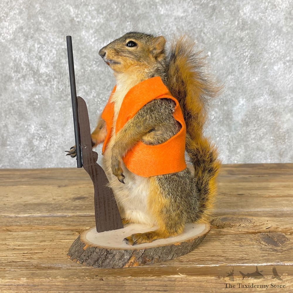 Hunting Squirrel Novelty Mount For Sale #25019 @ The Taxidermy Store