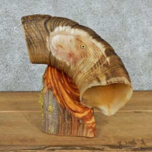 Eagle Face Bighorn Carving Taxidermy Mount #13089 For Sale @ The Taxidermy Store