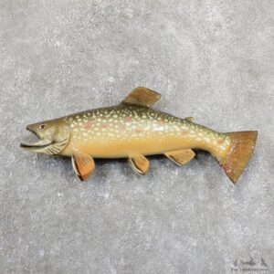 Brown Trout Fish Mount For Sale #19676 @ The Taxidermy Store