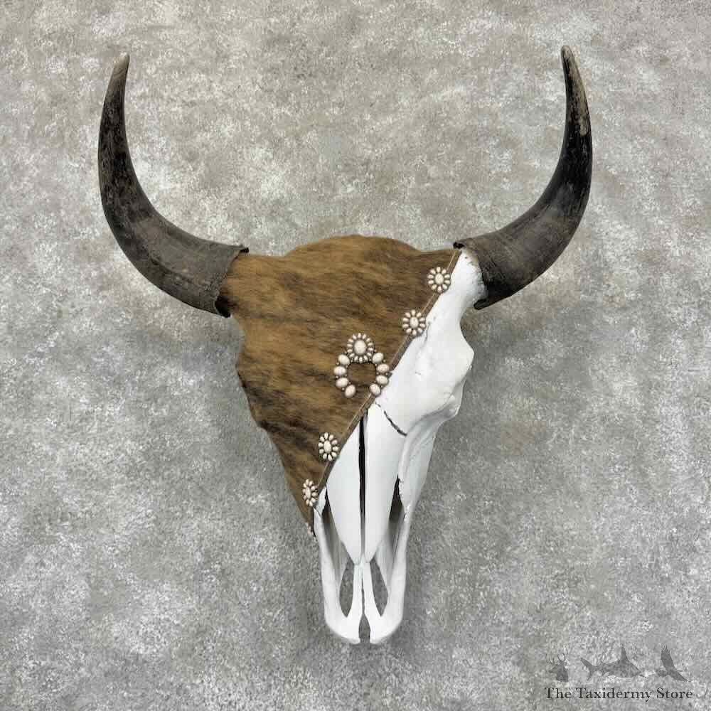 American Buffalo Bison Skull Decor For Sale #31557 @ The Taxidermy Store