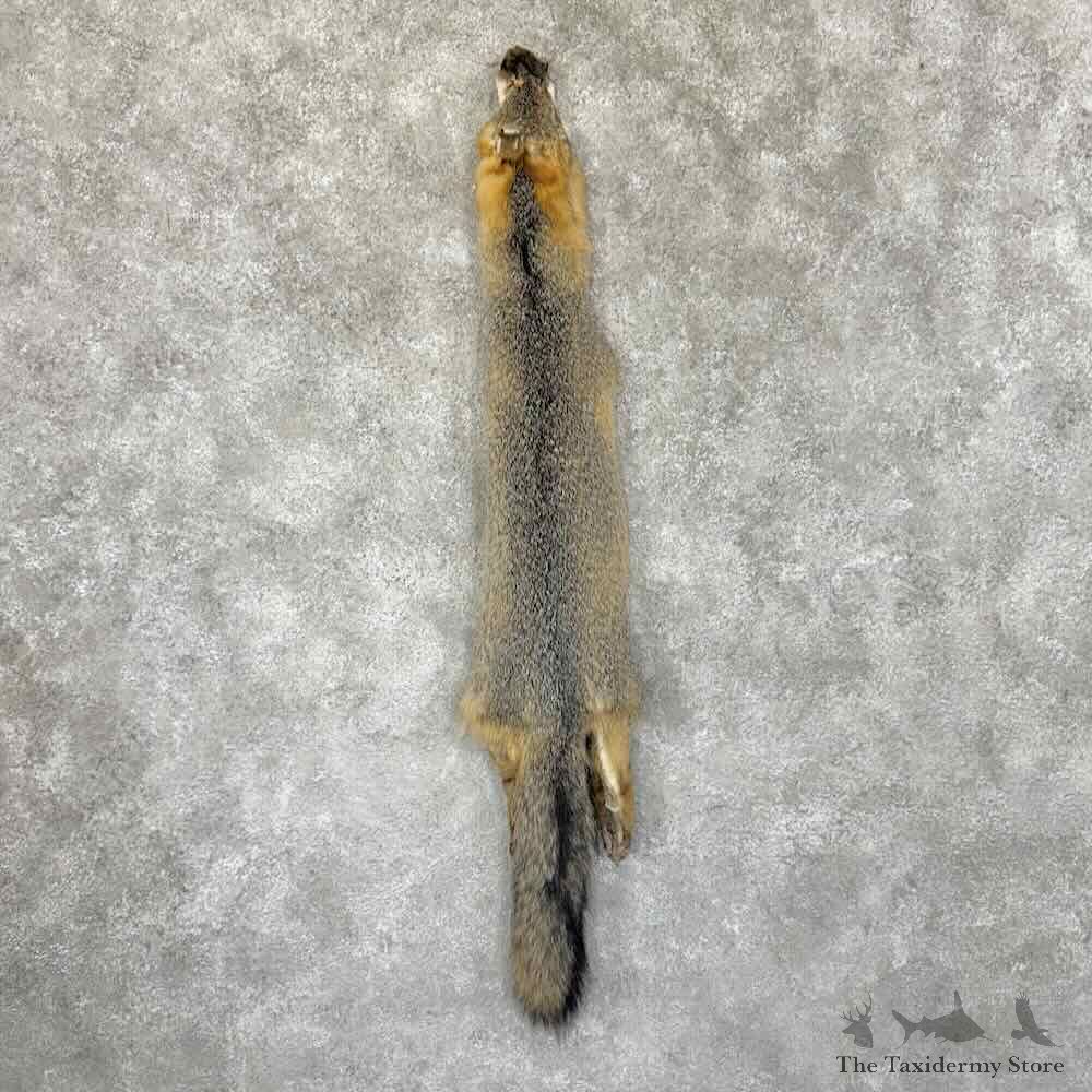 Grey Fox Tanned Hide For Sale #30964 @ The Taxidermy Store