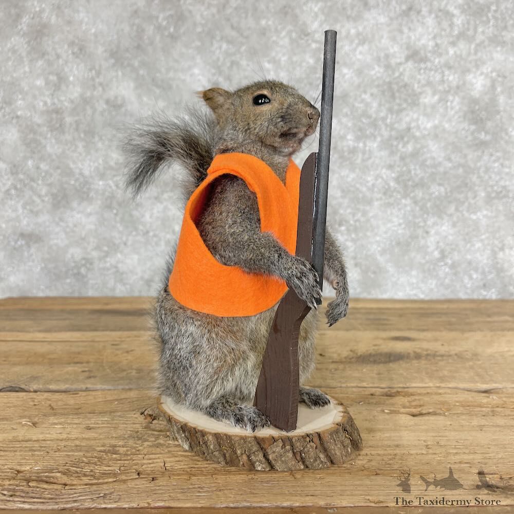 Hunting Squirrel Novelty Mount For Sale #28612 @ The Taxidermy Store