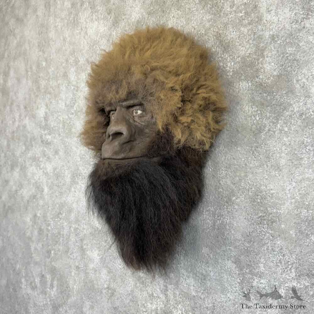Replica Bigfoot Head Mount For Sale #30918 @ The Taxidermy Store