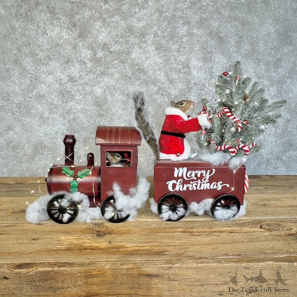 Christmas Squirrels Novelty Mount For Sale #28896 @ The Taxidermy Store