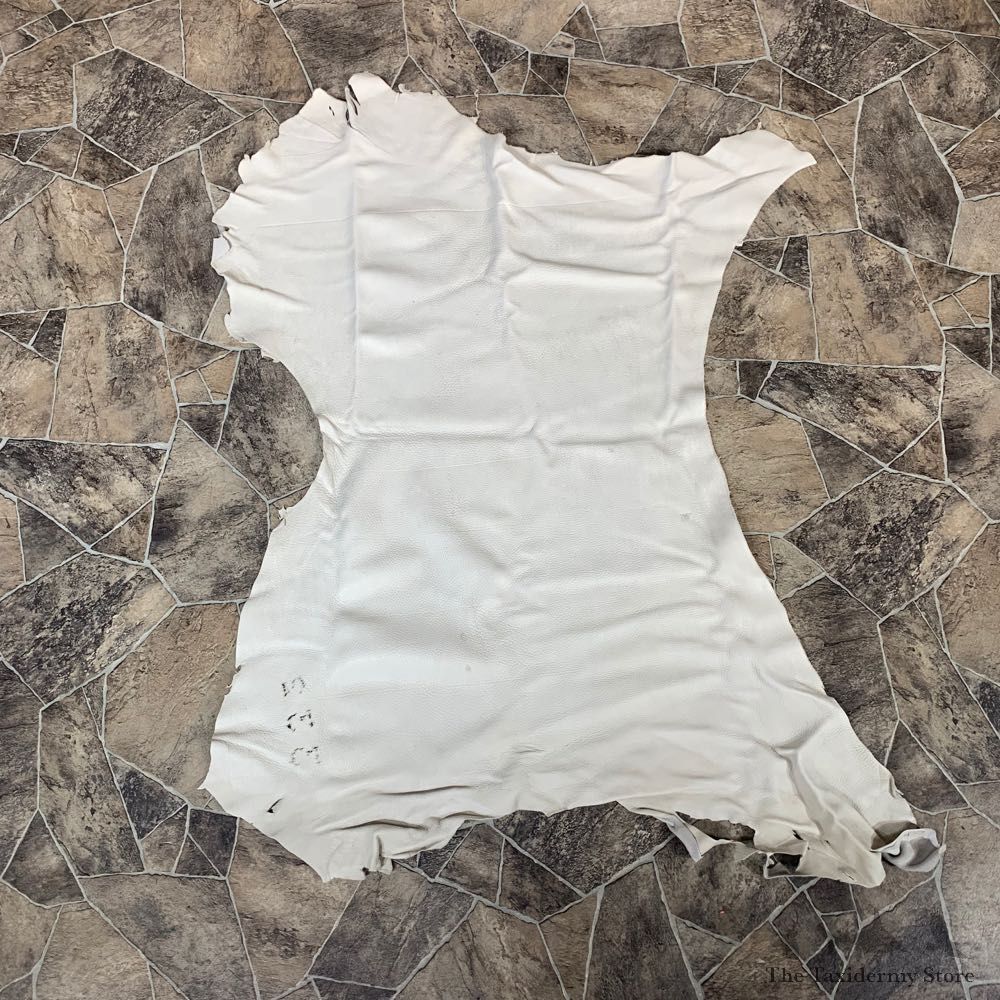 Buckskin Soft Tan Leather For Sale #22027 @ The Taxidermy Store