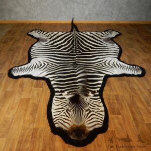 African Zebra Full-Size Taxidermy Rug For Sale #17422 @ The Taxidermy Store