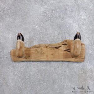 Whitetail Deer Hoof Gun Rack Taxidermy Mount For Sale #18746 @ The Taxidermy Store