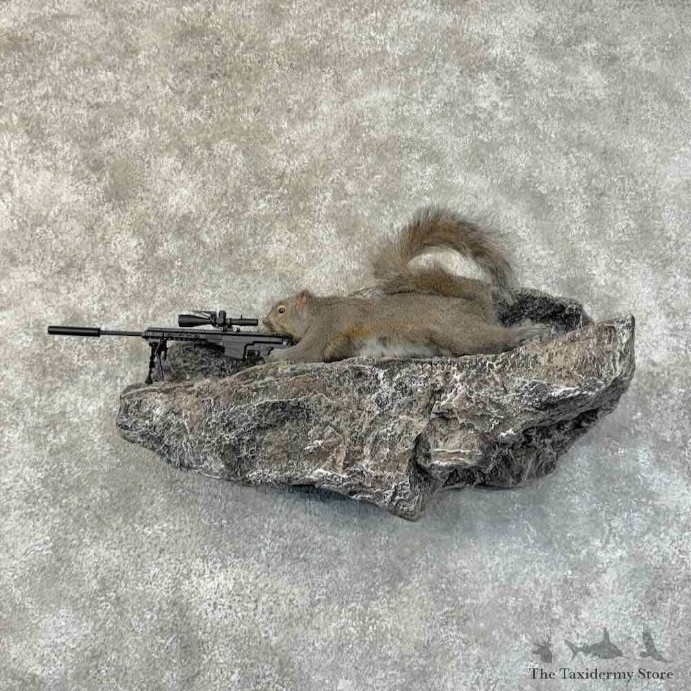 Sniper Squirrel Novelty Mount For Sale #31472 @ The Taxidermy Store