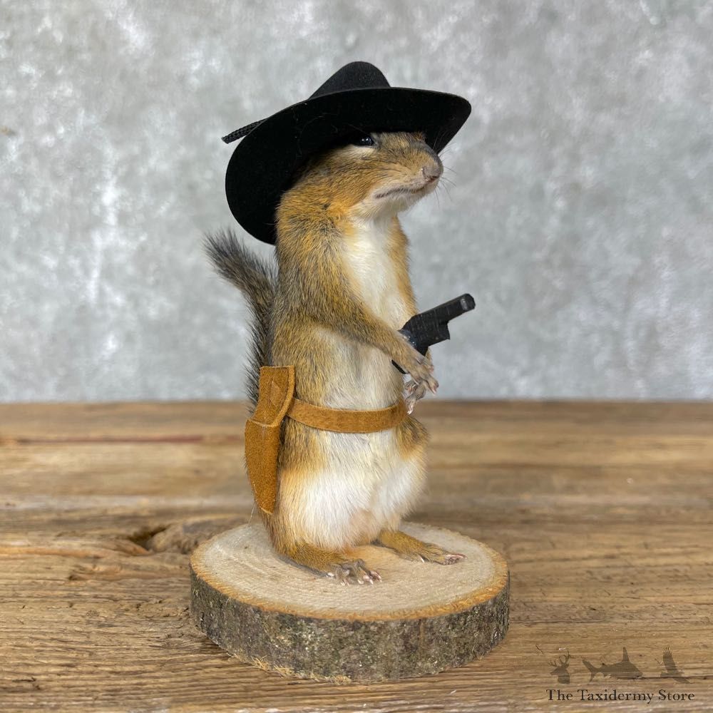 Cowboy Chipmunk Novelty Mount For Sale #24339 @ The Taxidermy Store