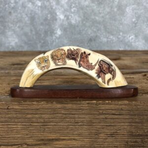 Scrimshawed Warthog Tooth For Sale #19576 @ The Taxidermy Store