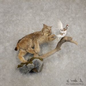 Alaskan Lynx & Ptarmigan Life-Size Taxidermy Mount For Sale #20484 @ The Taxidermy Store