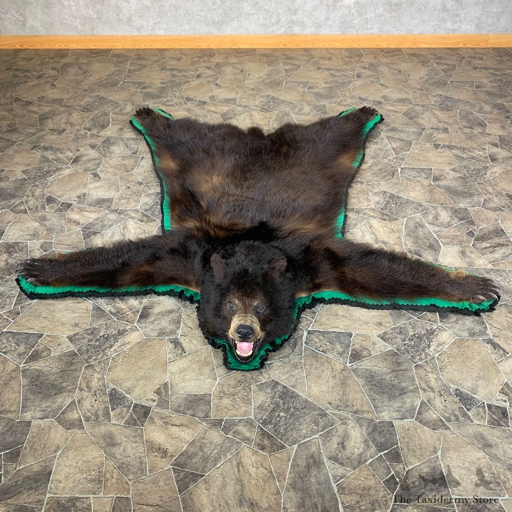 Black Bear Full-Size Rug For Sale #23321 @ The Taxidermy Store