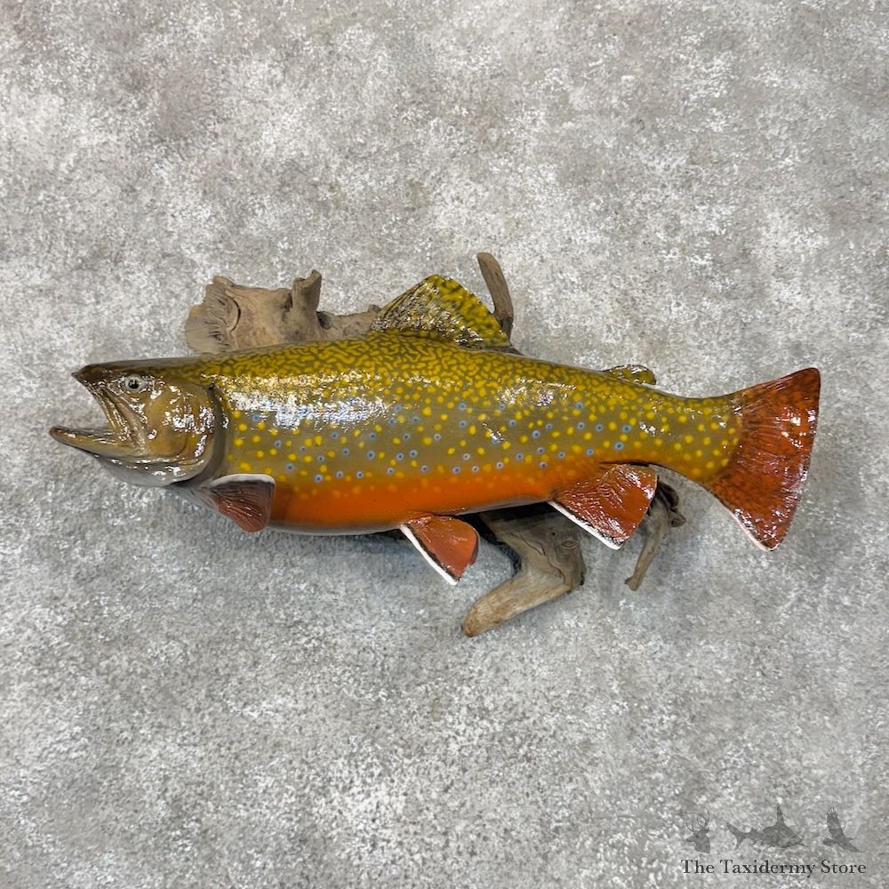 Brook Trout Fish Mount For Sale #29877 @ The Taxidermy Store