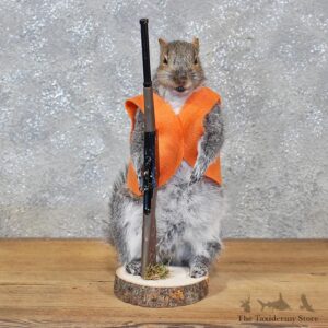 Novelty Hunter Grey Squirrel #11937 For Sale @ The Taxidermy Store