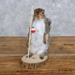 Novelty Fisherman Squirrel Mount For Sale #14176 @ The Taxidermy Store