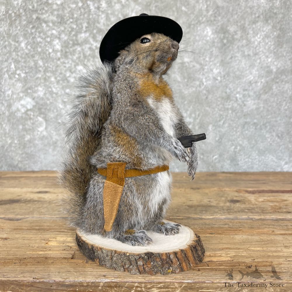 Cowboy Squirrel Novelty Mount For Sale #26389 @ The Taxidermy Store