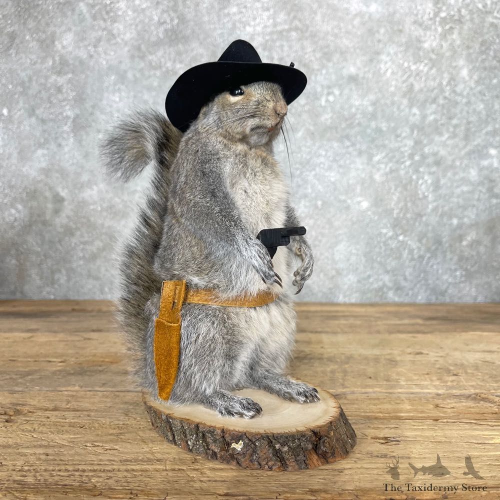 Cowboy Squirrel Novelty Mount For Sale #24974 @ The Taxidermy Store