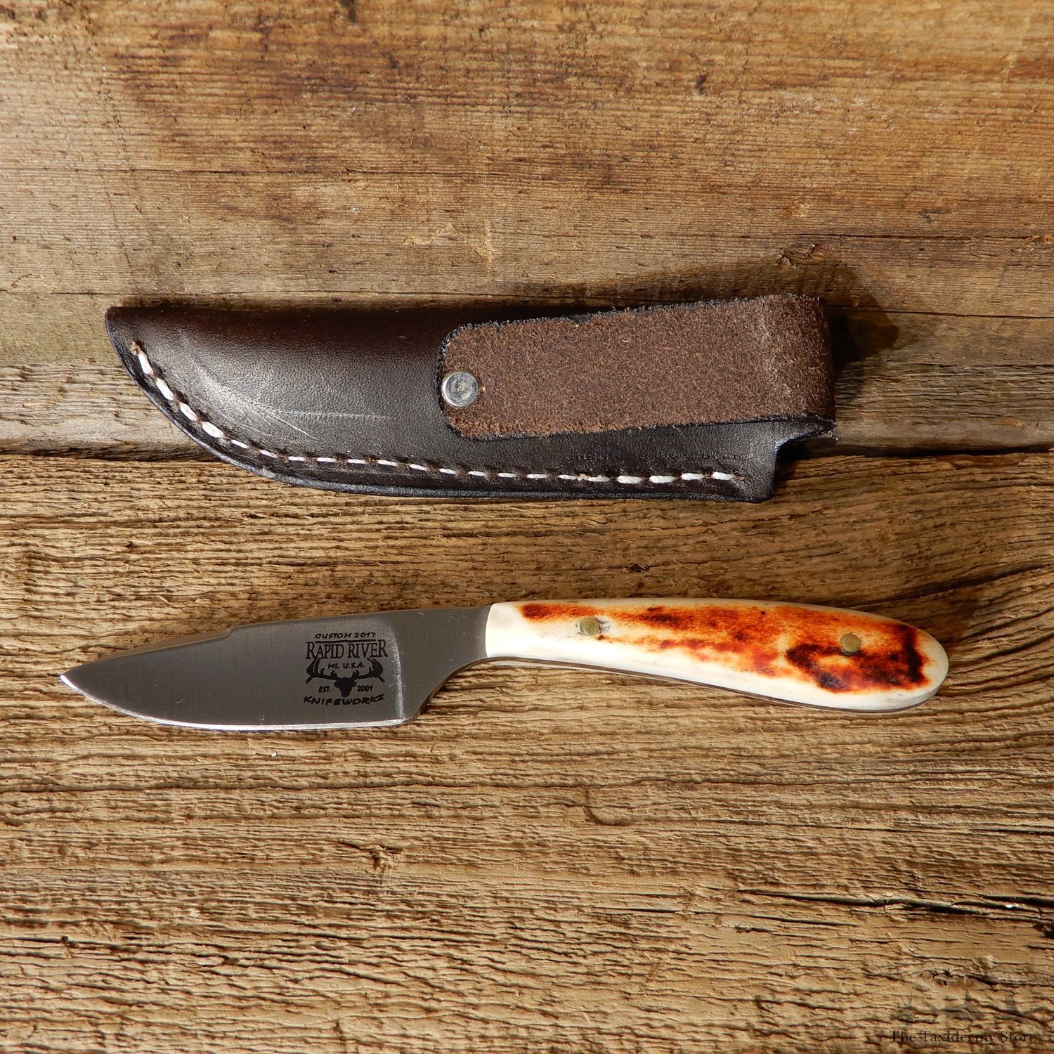 Mini Caper Caping Knife For Sale #19210 @ The Taxidermy Store