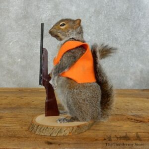 Hunting Squirrel Novelty Mount For Sale #18475 @ The Taxidermy Store
