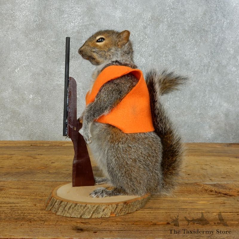Hunting Squirrel Novelty Mount For Sale #18475 @ The Taxidermy Store