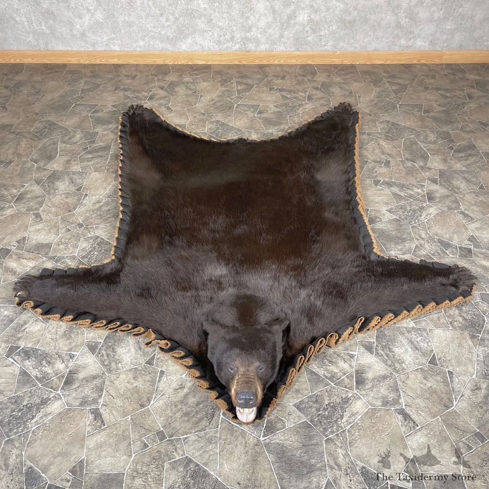Chocolate Black Bear Full-Size Rug For Sale #24313 @ The Taxidermy Store