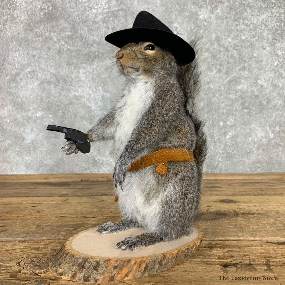 Cowboy Squirrel Novelty Mount For Sale #23464 @ The Taxidermy Store