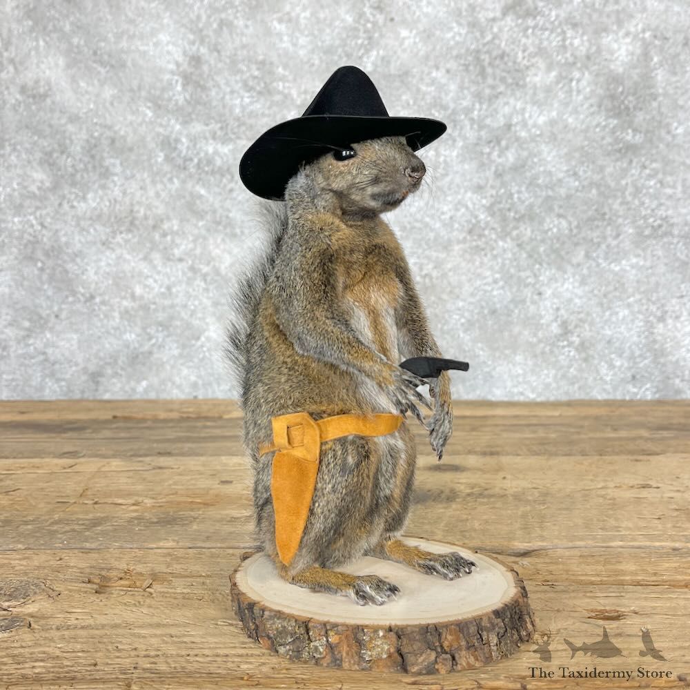 Cowboy Squirrel Novelty Mount For Sale #28604 @ The Taxidermy Store