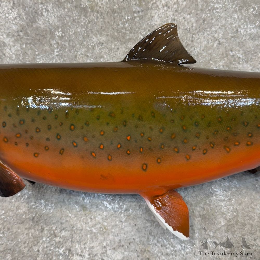 Arctic Char Fish Mount For Sale #30114 @ The Taxidermy Store