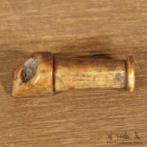 Authentic Native Carved Fossilized Ivory Pipe Stem #12111 For Sale @ The Taxidermy Store