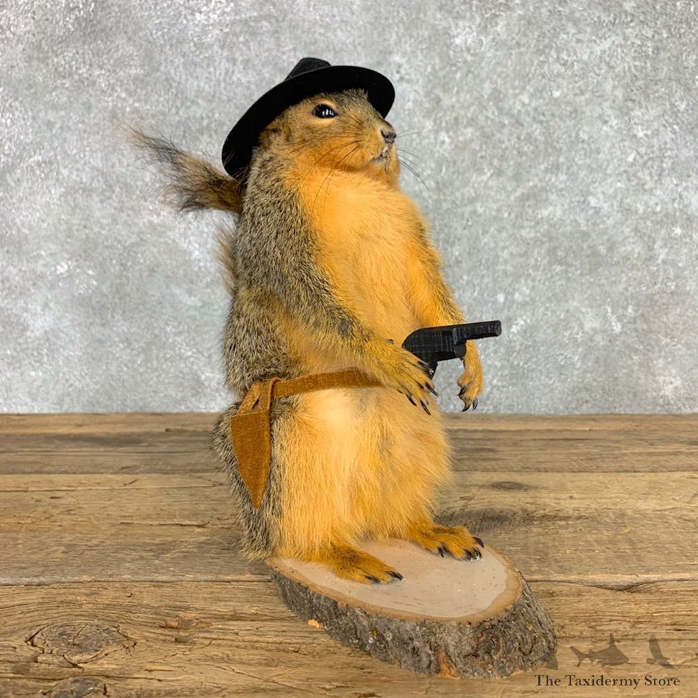 Cowboy Squirrel Novelty Mount For Sale #23463 @ The Taxidermy Store