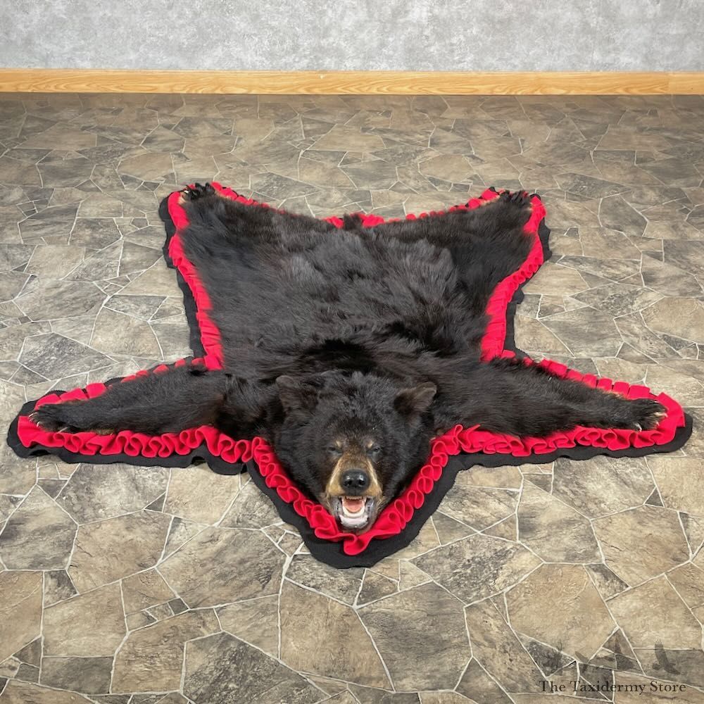 Black Bear Full-Size Rug For Sale #27850 @ The Taxidermy Store