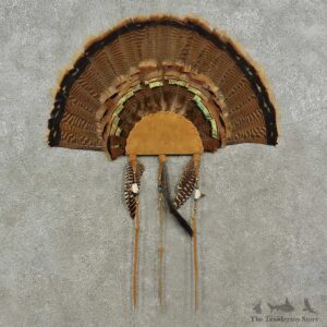Eastern Wild Turkey Fan For Sale #16962 @ The Taxidermy Store