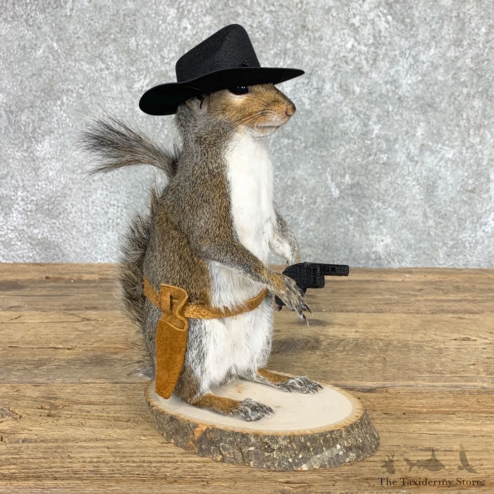 Cowboy Squirrel Novelty Mount For Sale #22435 @ The Taxidermy Store