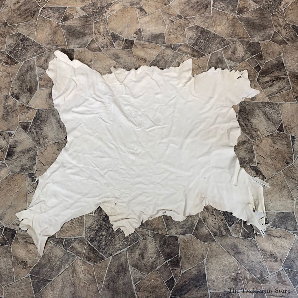 Buckskin Soft Tan Leather For Sale #22037 @ The Taxidermy Store