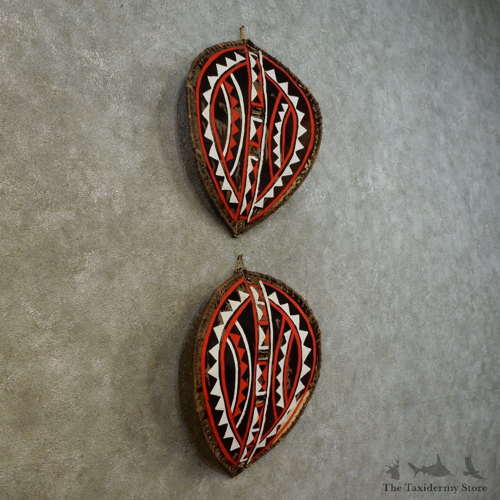 African Massai Warrior Shield Pair For Sale #16533 @ The Taxidermy Store