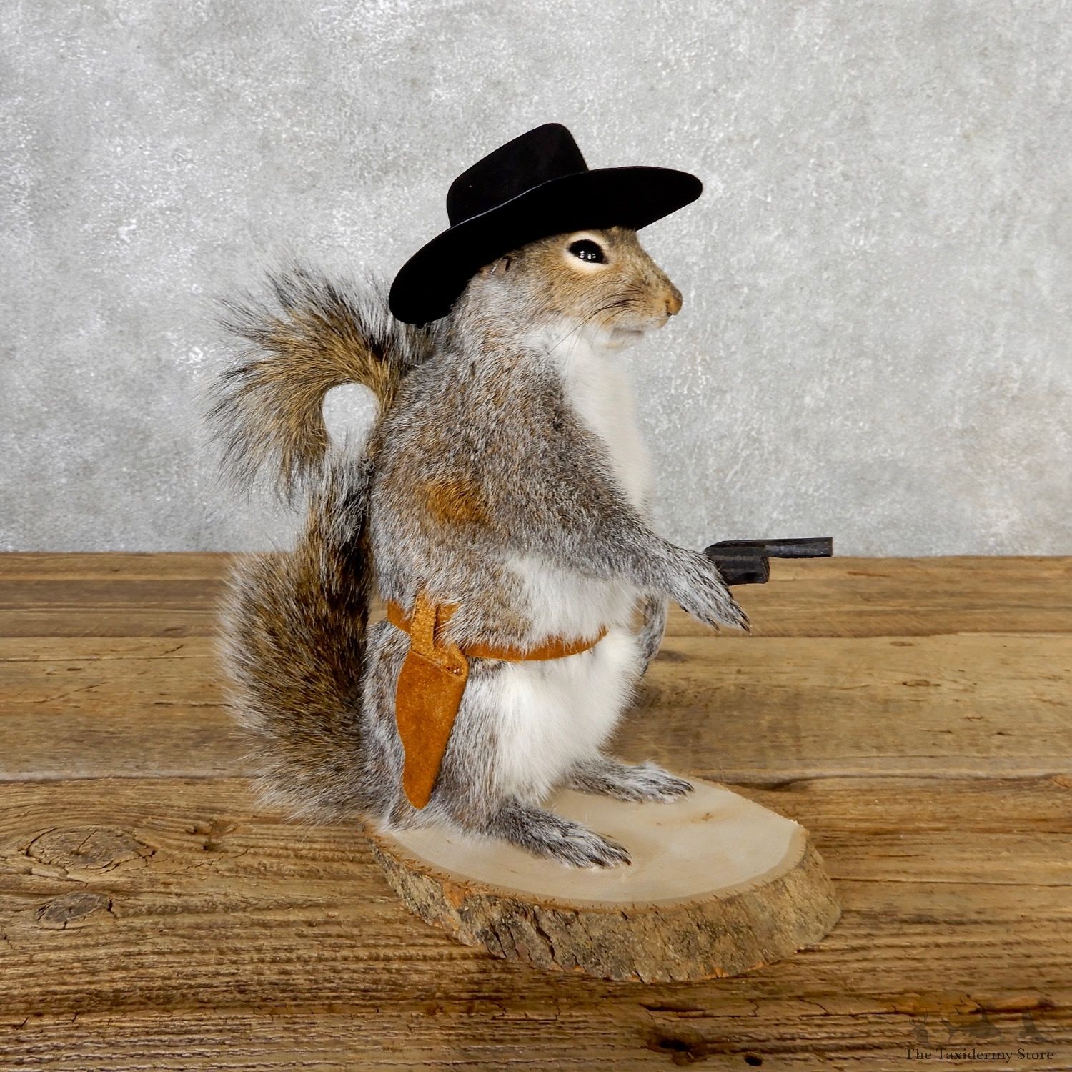 Cowboy Squirrel Novelty Mount For Sale #19058 @ The Taxidermy Store
