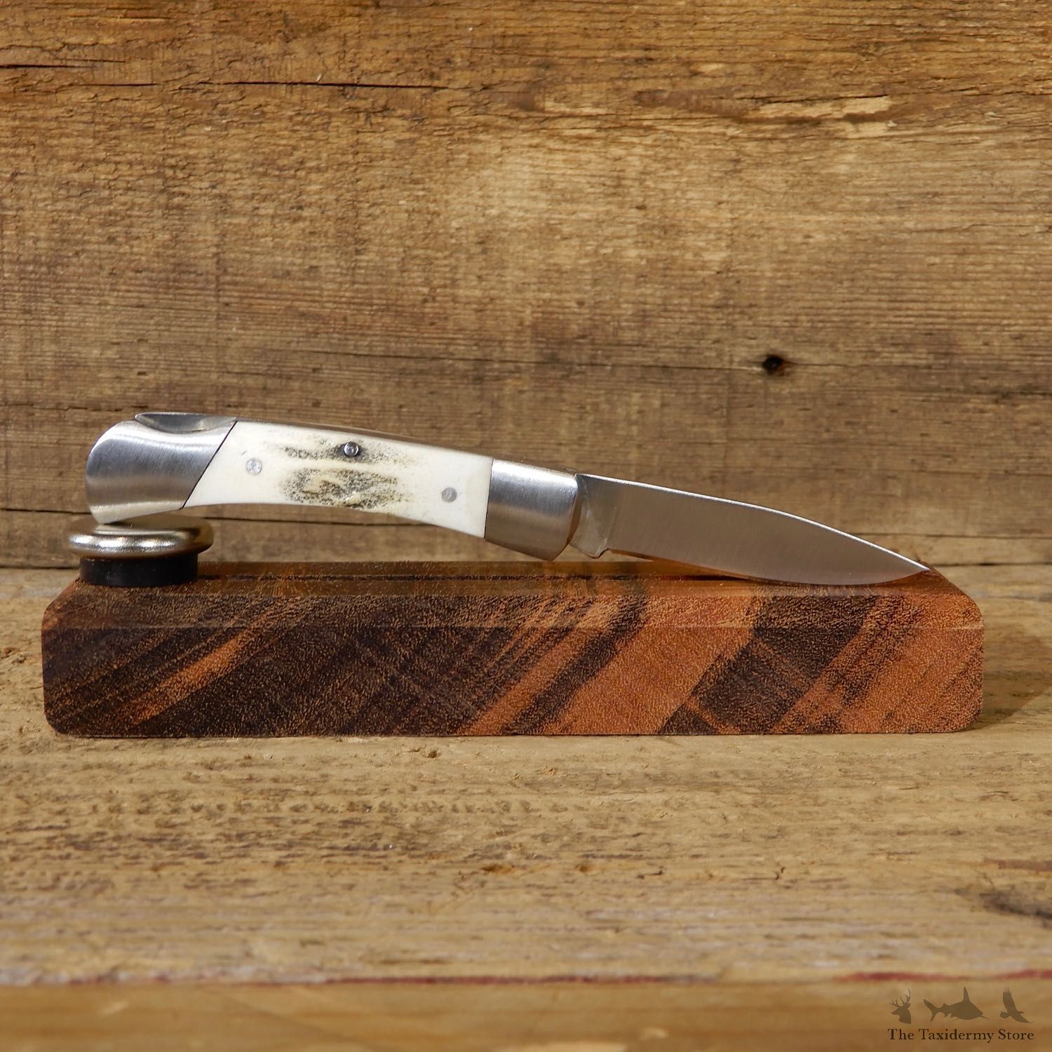Mini Folding Pocket Knife with Elk Antler Handle For Sale #19221@ The Taxidermy Store