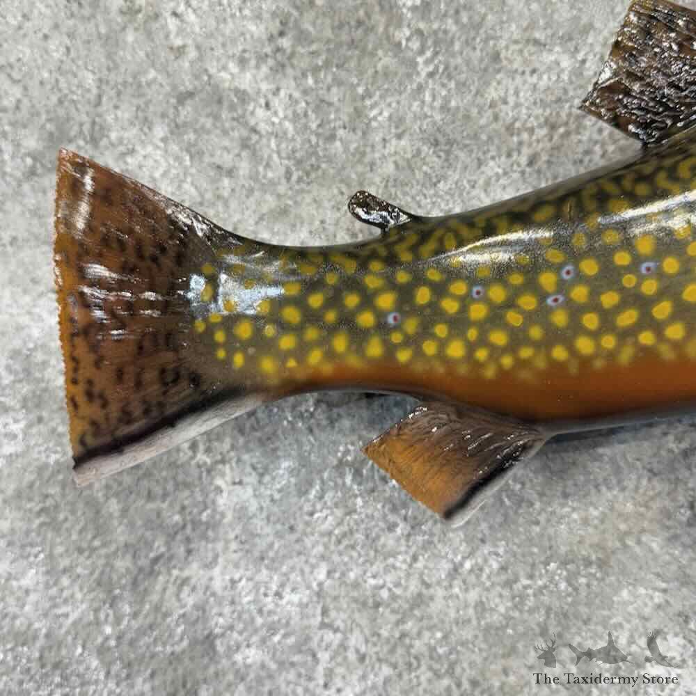 Brook Trout Fish Mount For Sale #32220 @ The Taxidermy Store