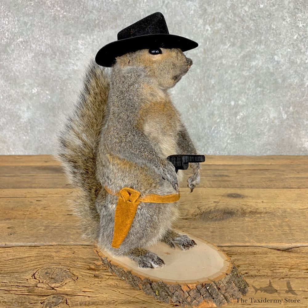 Cowboy Squirrel Novelty Mount For Sale #23465 @ The Taxidermy Store