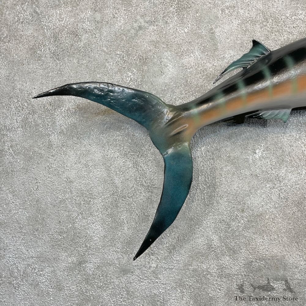 Blue Marlin Fish Mount For Sale #27509 @ The Taxidermy Store