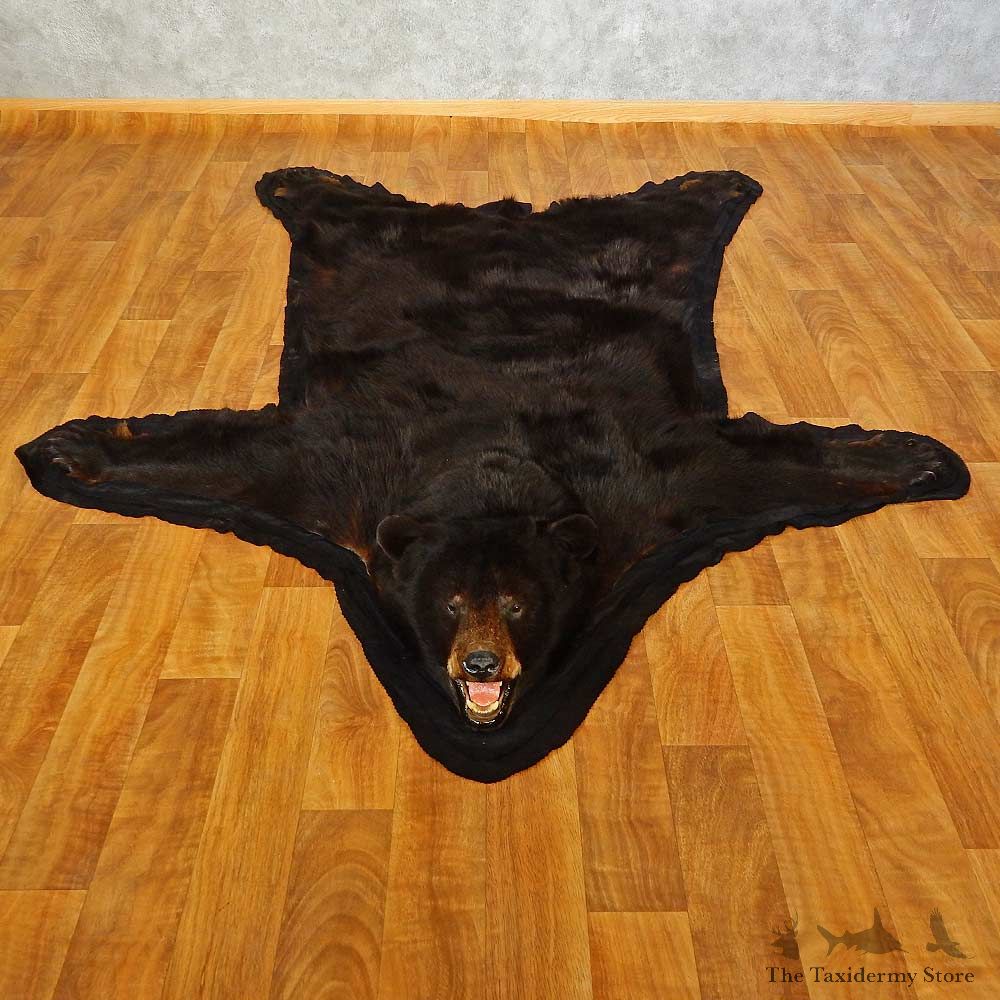 Black Bear Full-Size Rug For Sale #16606 @ The Taxidermy Store