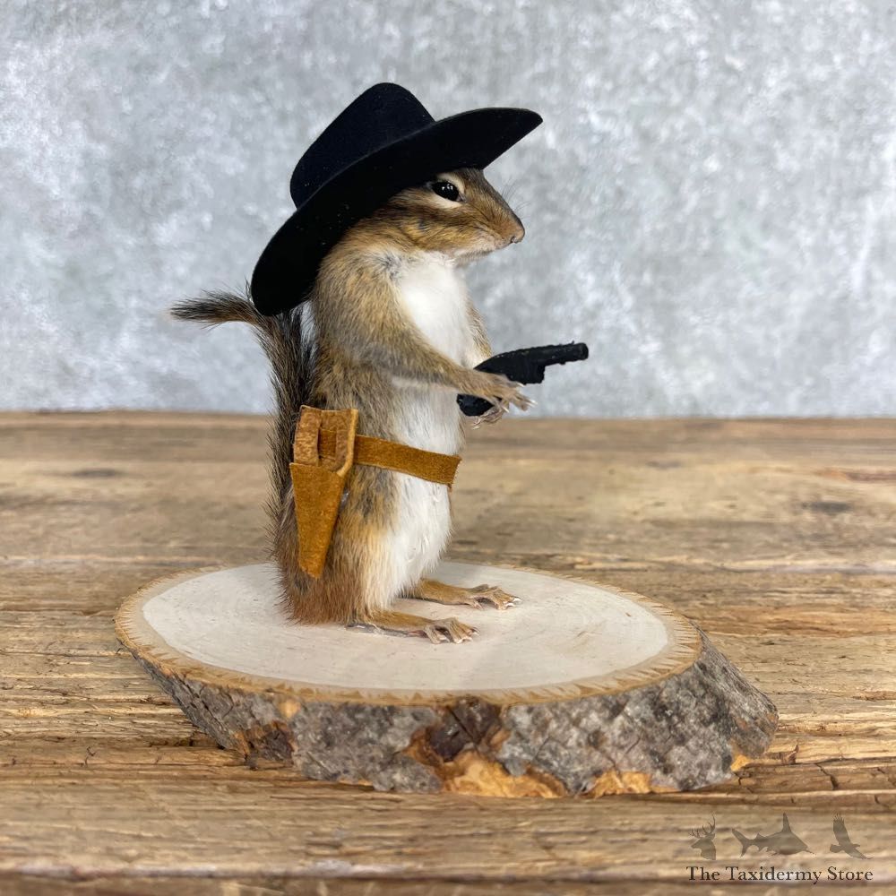 Cowboy Chipmunk Novelty Mount For Sale #24045 @ The Taxidermy Store