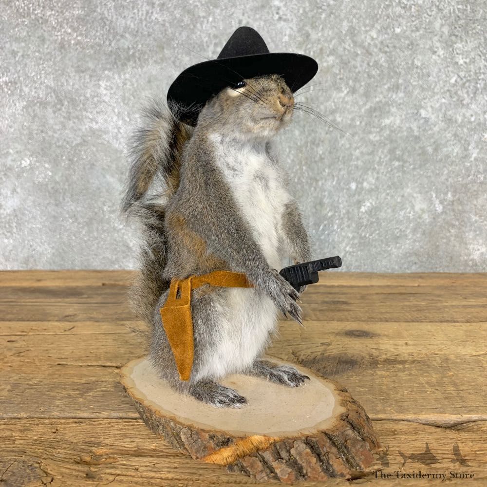 Cowboy Squirrel Novelty Mount For Sale #23466 @ The Taxidermy Store