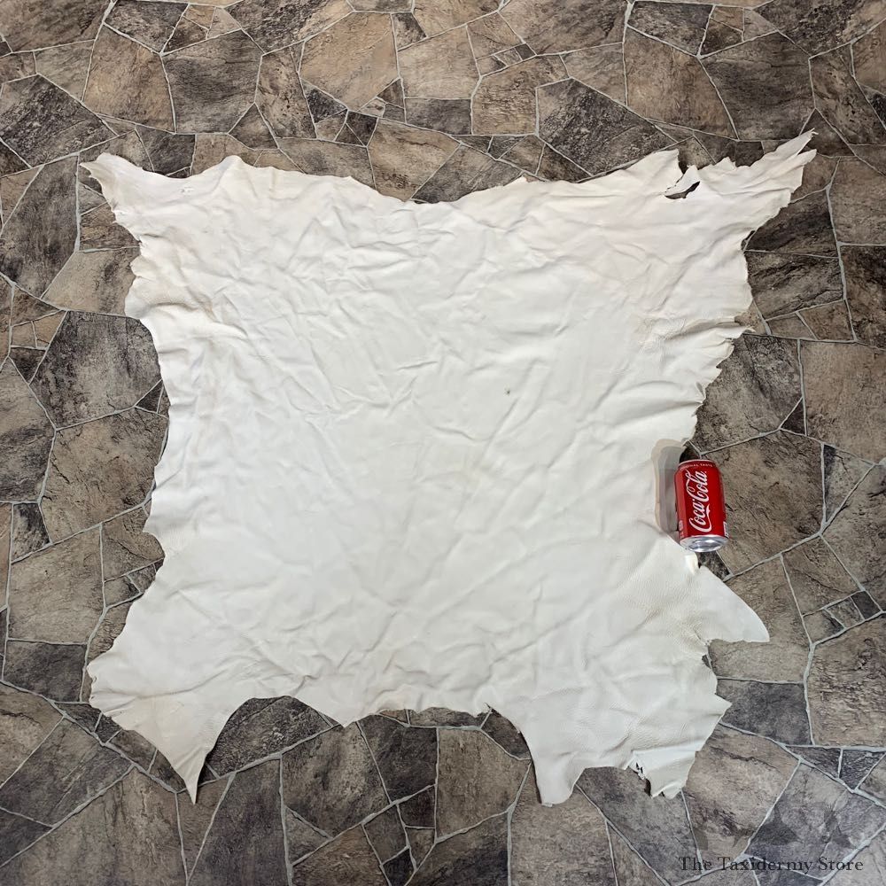 Buckskin Soft Tan Leather For Sale #22032 @ The Taxidermy Store