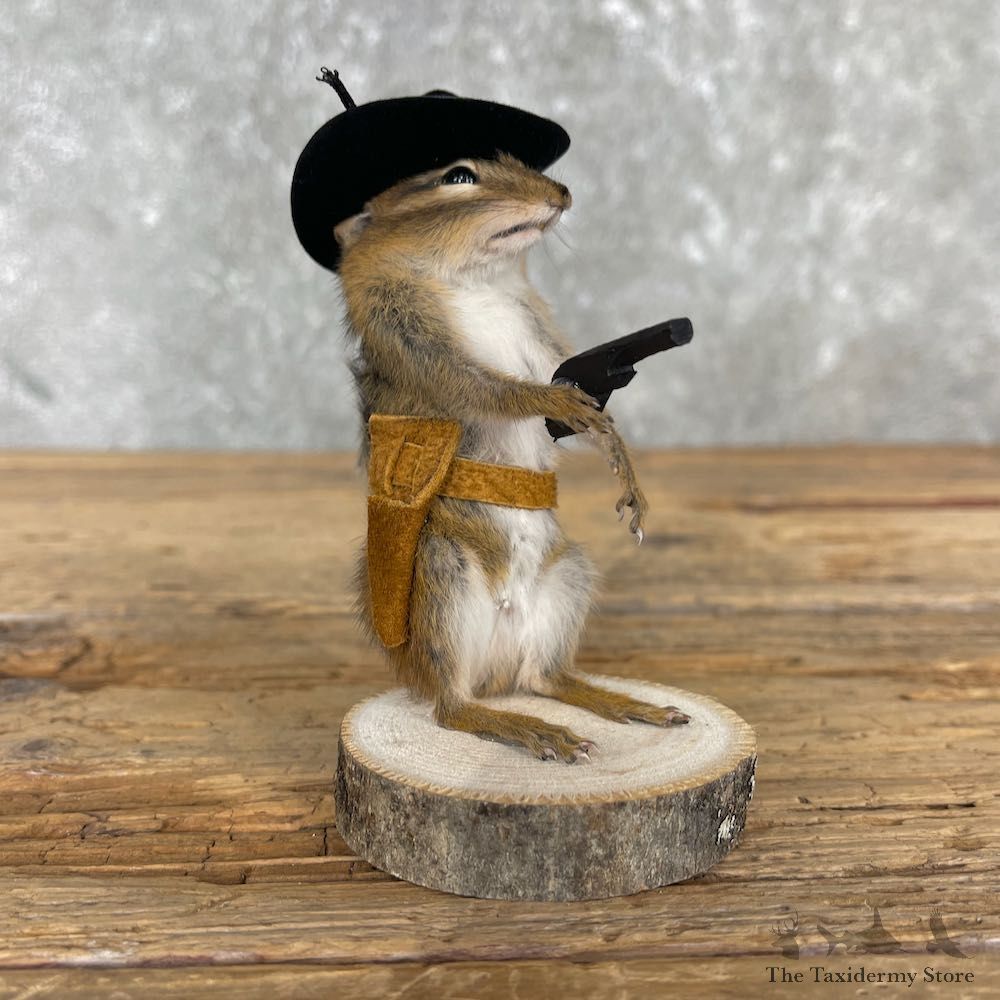 Cowboy Chipmunk Novelty Mount For Sale #26101 @ The Taxidermy Store