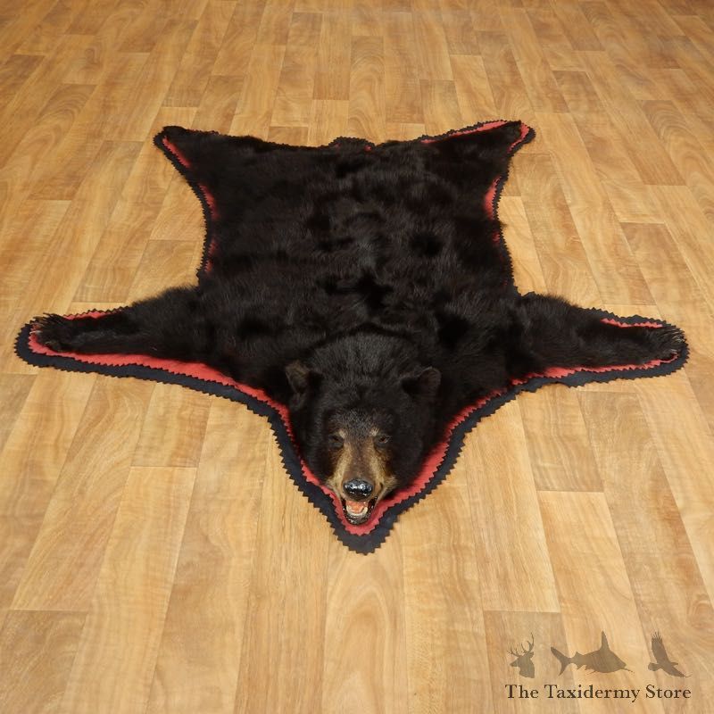 Black Bear Full-Size Rug For Sale #17259 @ The Taxidermy Store