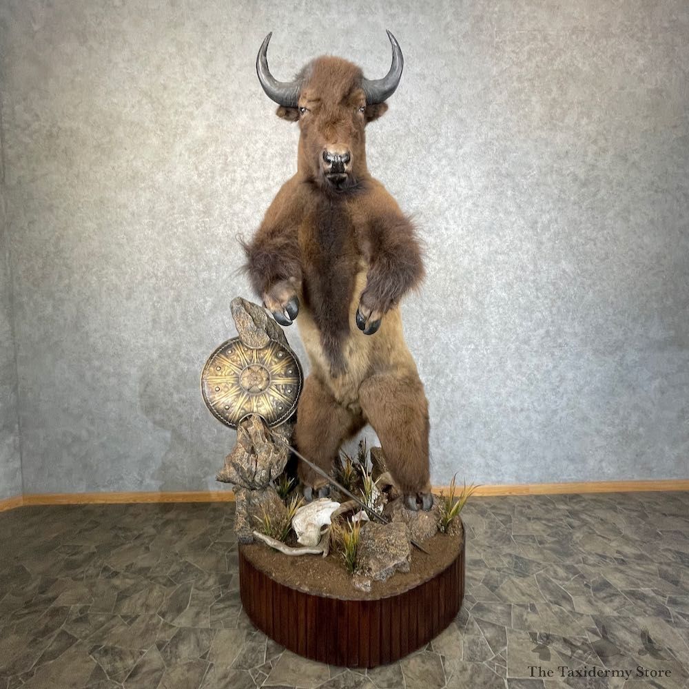 Minotaur Life-Size Taxidermy Mount For Sale #25201 @ The Taxidermy Store