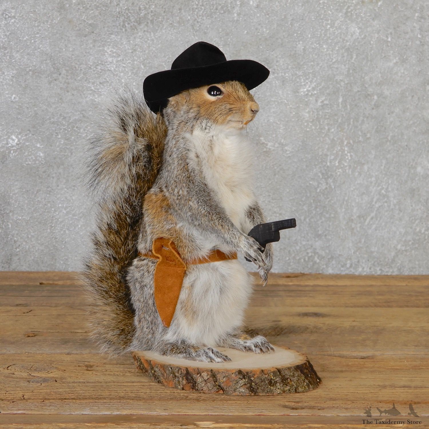 Cowboy Squirrel Novelty Mount For Sale #19061 @ The Taxidermy Store
