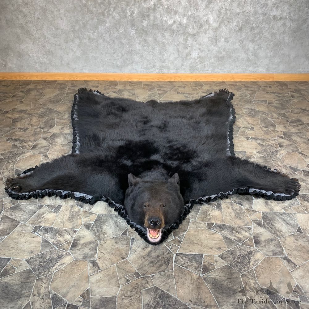 Black Bear Full-Size Rug For Sale #21174 @ The Taxidermy Store